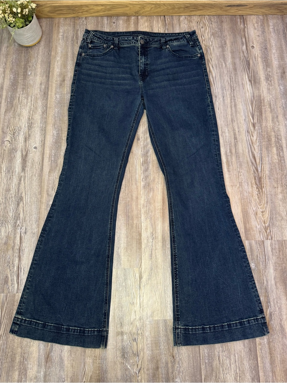 Rock and Roll Cowgirl Womens Flare Mid Rise Trouser Jeans Stretch Plus Size 34